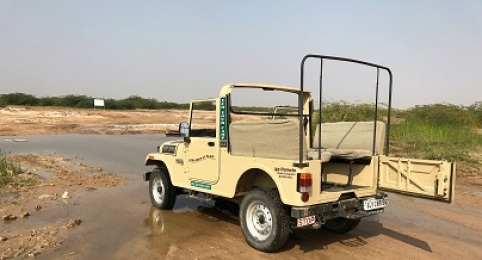 Desert Safari Jeep